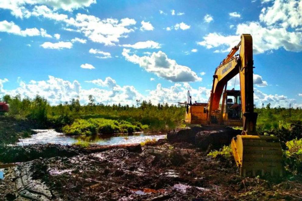 An excavator at work on the canal in Pulang Pisau.