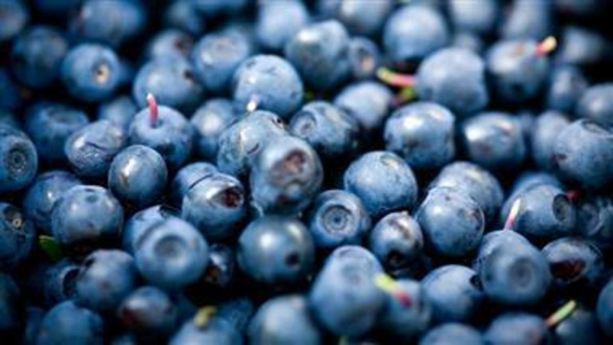 What are the benefits of bilberry? Nexus Newsfeed