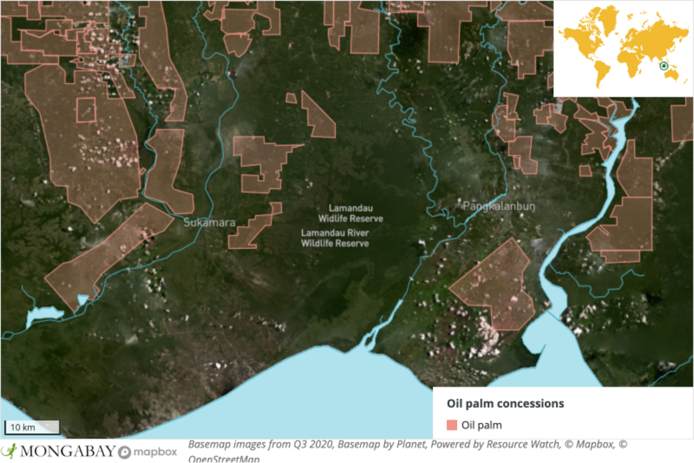 A satellite image of the Central Kalimantan region where the rice project is planned.