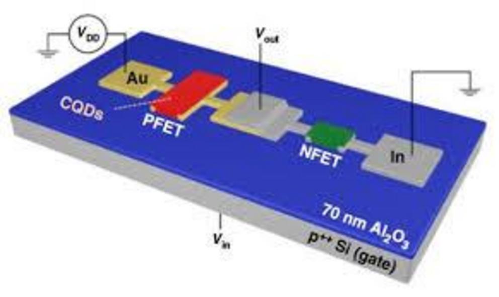 By depositing gold (Au) and Indium (In) contacts, researchers create two crucial types of quantum dot transistors on the same substrate, opening the door to a host of innovative electronics. Credit: Los Alamos National Laboratory/University of California,