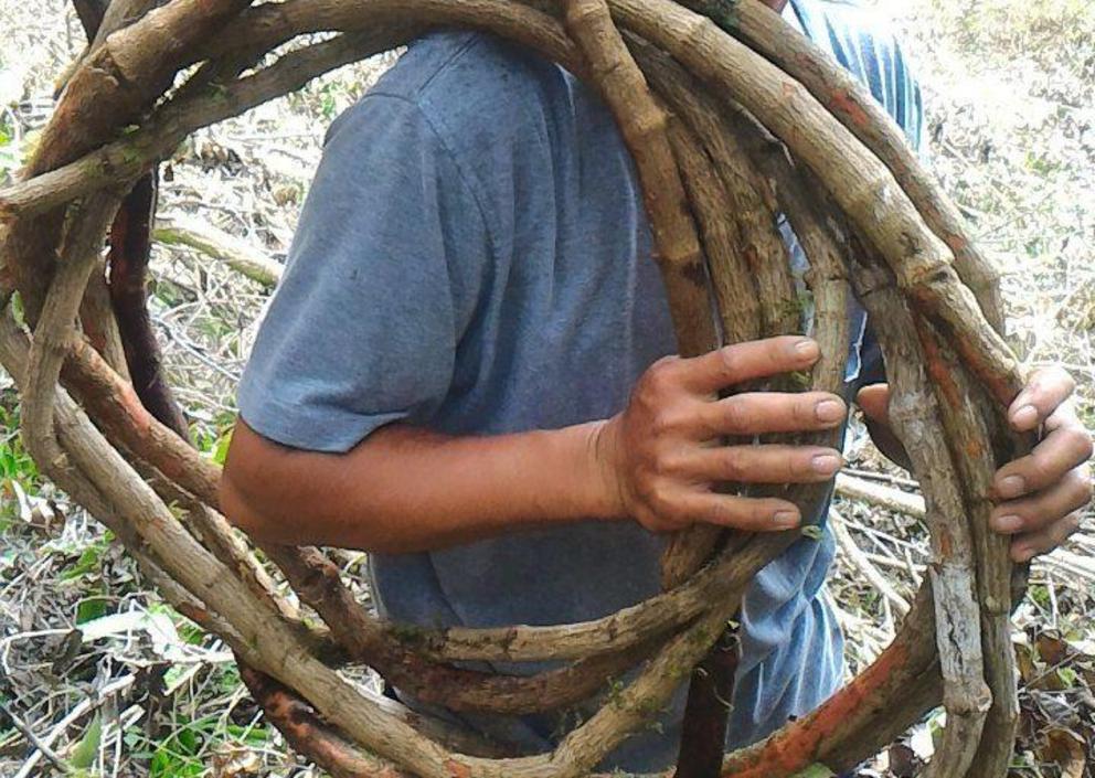 A Manobo tribesman harvests the vine of piper or “lunas-bagon tapol” (Piper decumanum).