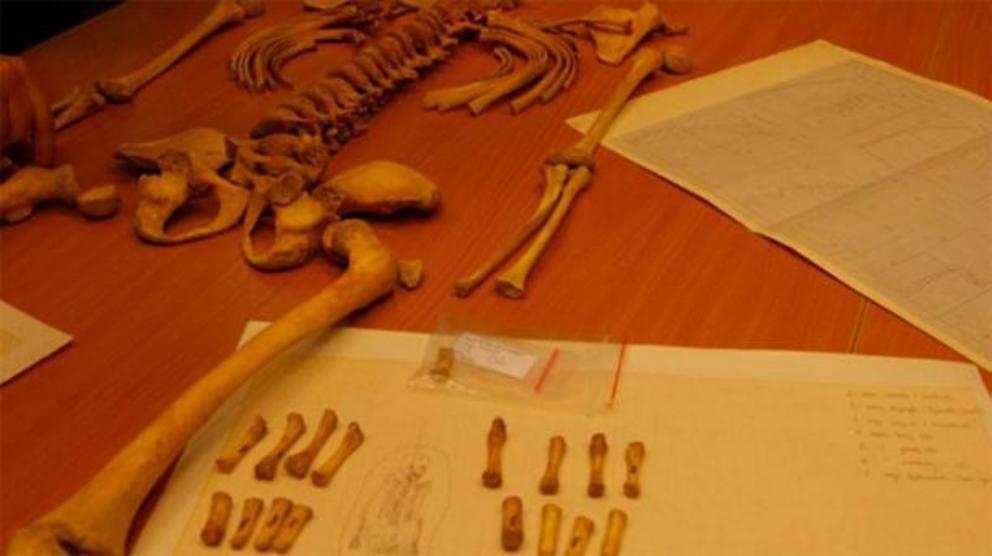 Dr. Malgorzata Kot came across the mysterious remains while looking through artifacts from old research projects in the storage rooms of the University of Warsaw.