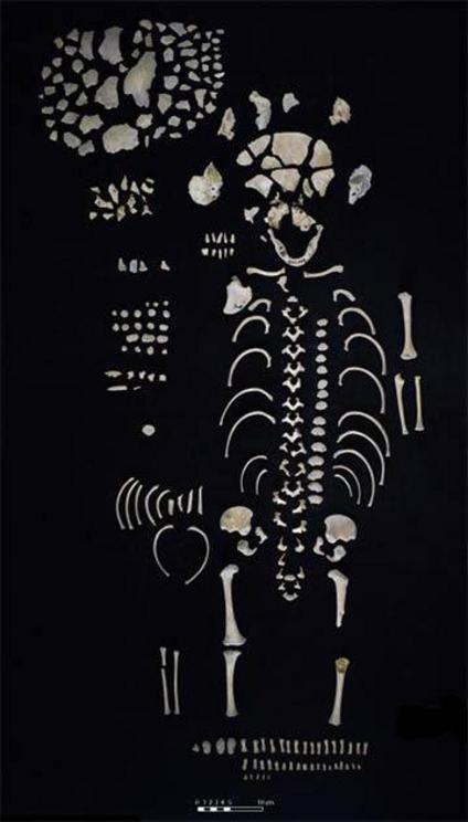 The remains of a juvenile skeleton were recovered from the Los Sapos Maya sweat bath, suggesting an early understanding of the structure as a place of birth and human creation.