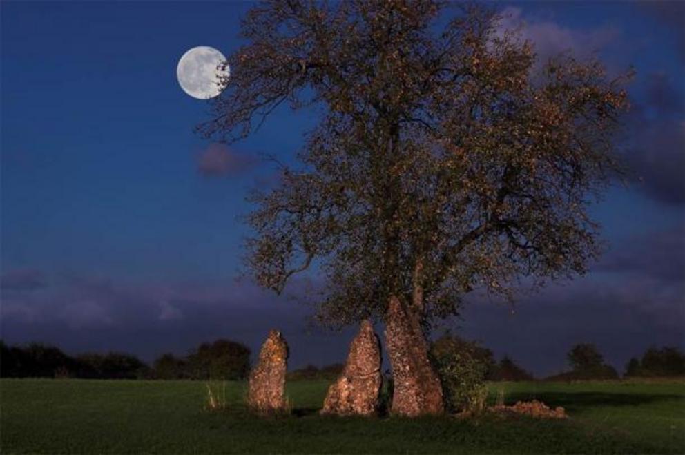 Menhirs d'Oppagne at night, Wéris