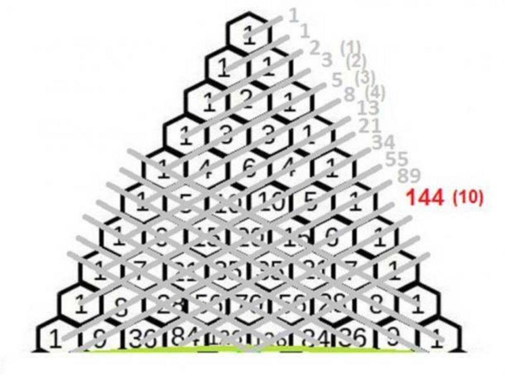 Pascal’s Triangle and its relation to the Fibonacci sequence. 