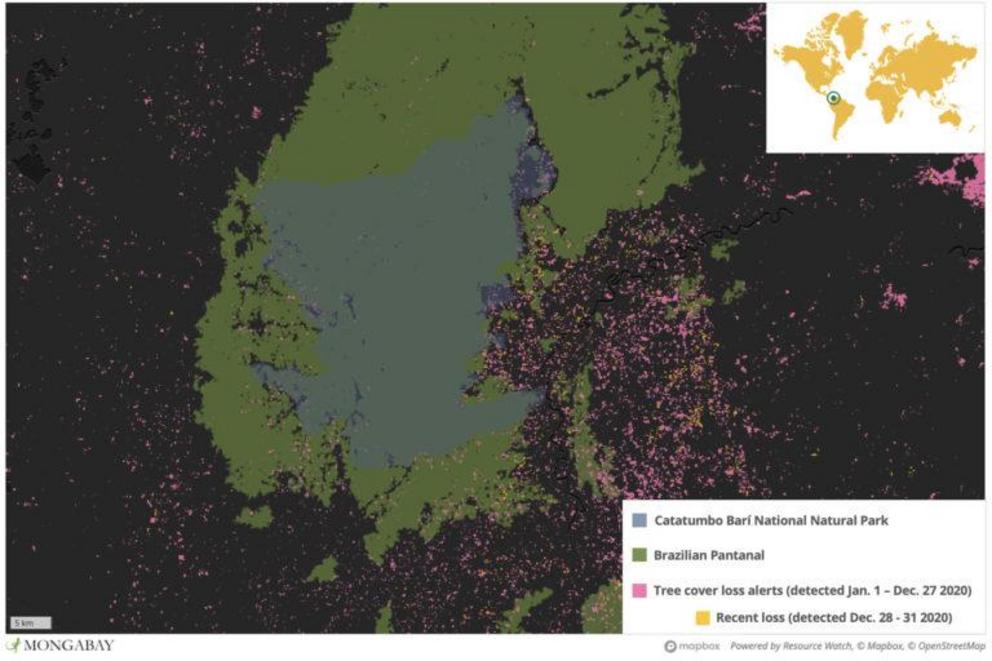 Catatumbo Barí National Natural Park protects some of the last primary rainforest in the region. But satellite data show deforestation continued to whittle it away in 2020 — including inside the park.