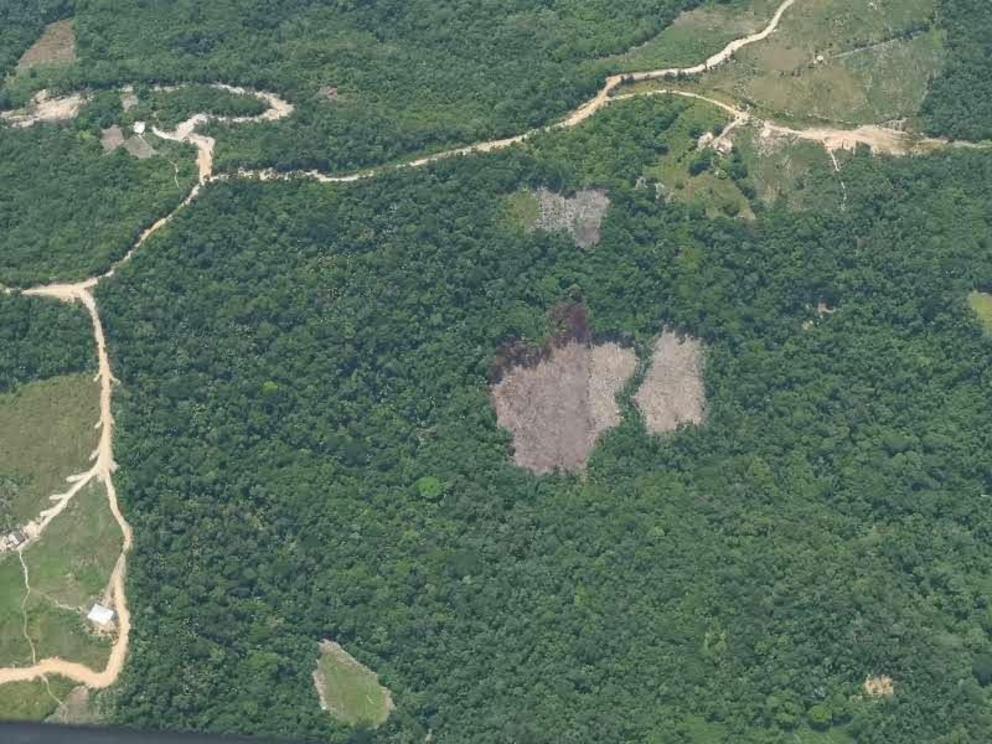 Recently cleared land in Catatumbo Barí National Natural Park.