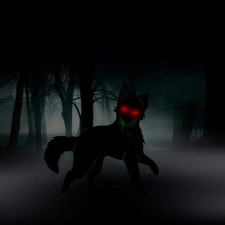 An evil black dog in the woods.