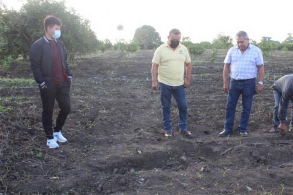 The farmers discovered the statue of a Mesoamerican woman in the Huasteca region in Mexico by chance when tilling the soil.