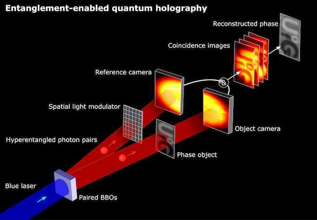 Holography 'quantum Leap' Could Revolutionise Imaging - Nexus Newsfeed