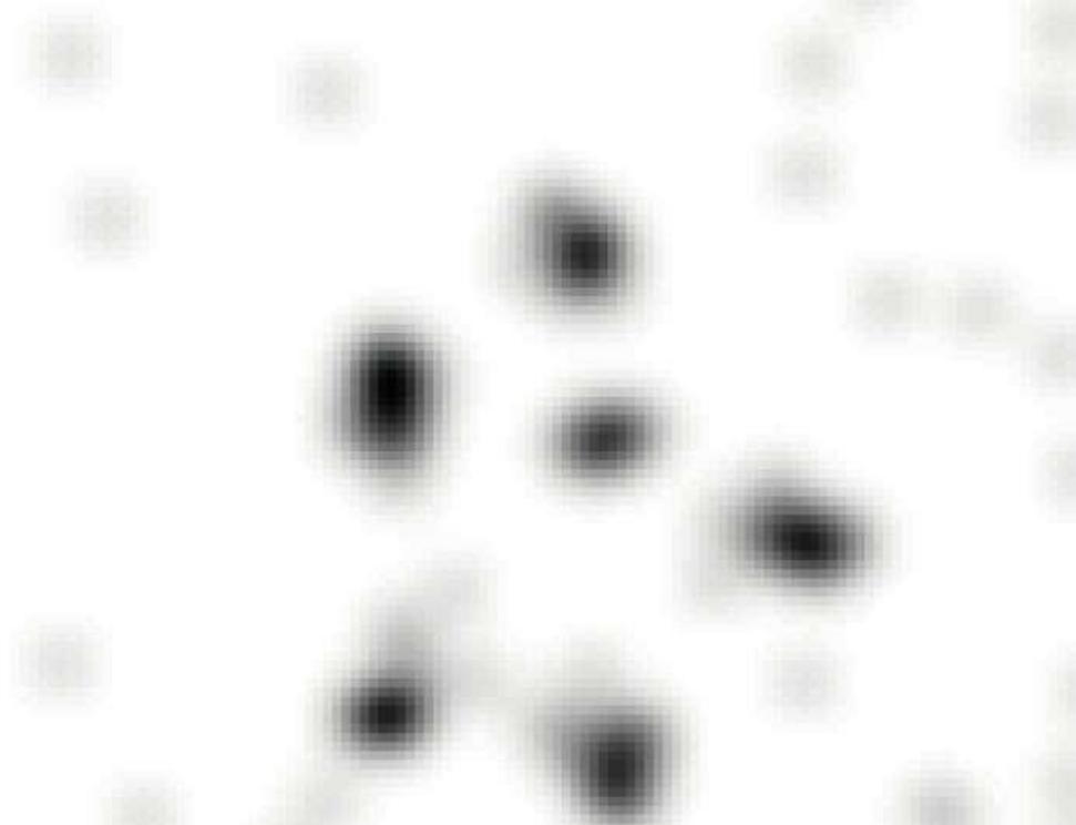 Single image of six fermionic atoms confined in a two-dimensional harmonic oscillator trap. The image has been taken after an expansion of the system in order to increase the effective resolution.