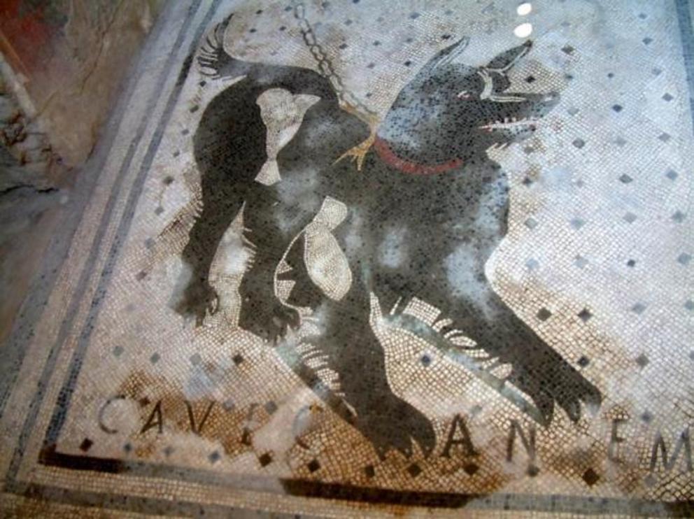 Cave canem mosaic.