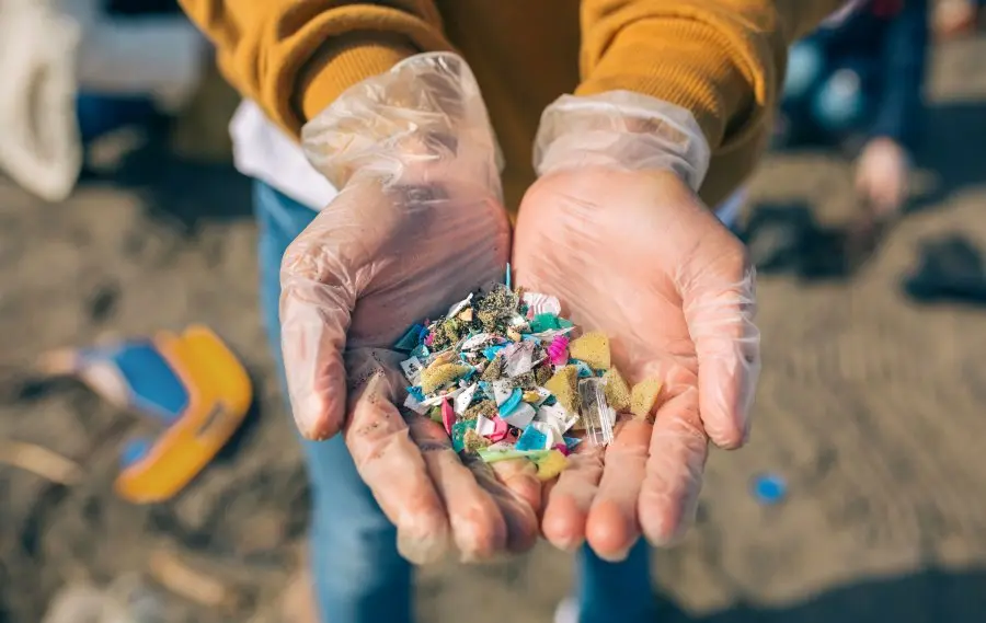 Microplastics And Their Impact On Human Health Causes Concern And ...