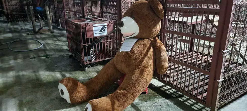 A teddy bear was placed nearby for comfort.