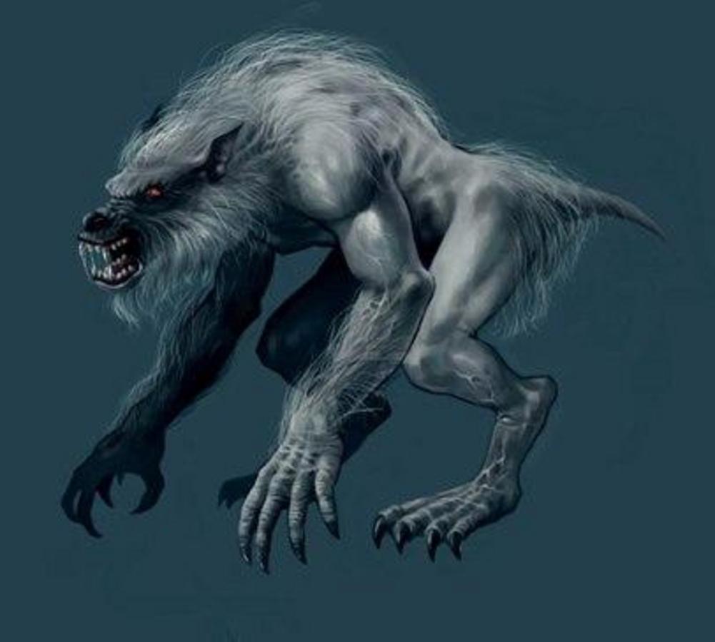 Cryptid canine / werewolf-like humanoid encountered in North England ...