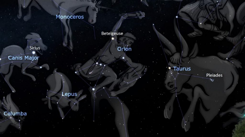 Figure 2: Orion facing the charge of Taurus, and followed by his hunting dog Canis Major.