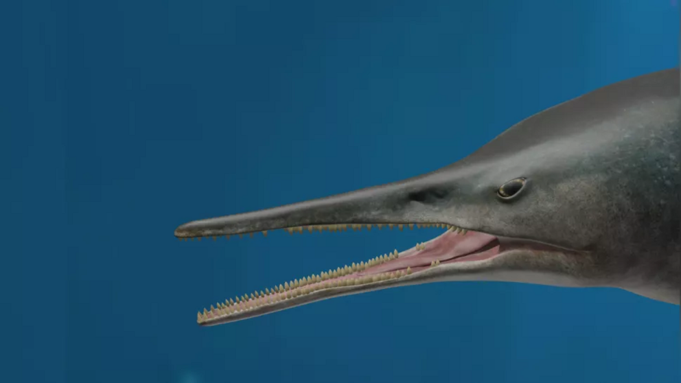 This life reconstruction of Kyhytysuka sachicarum from the early Cretaceous of Colombia shows the swordfish-like reptile.