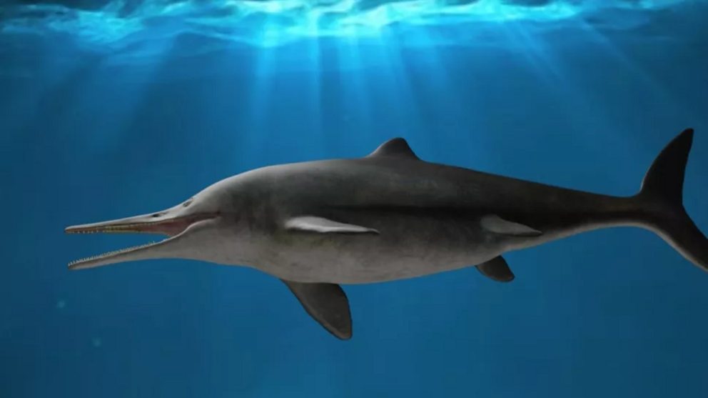 This life reconstruction of Kyhytysuka sachicarum from the early Cretaceous of Colombia shows the swordfish-like reptile.