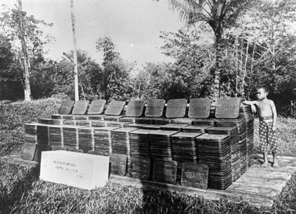 Late-19th-century Indonesian gutta-percha plantation with stacks of rubber-like blocks.