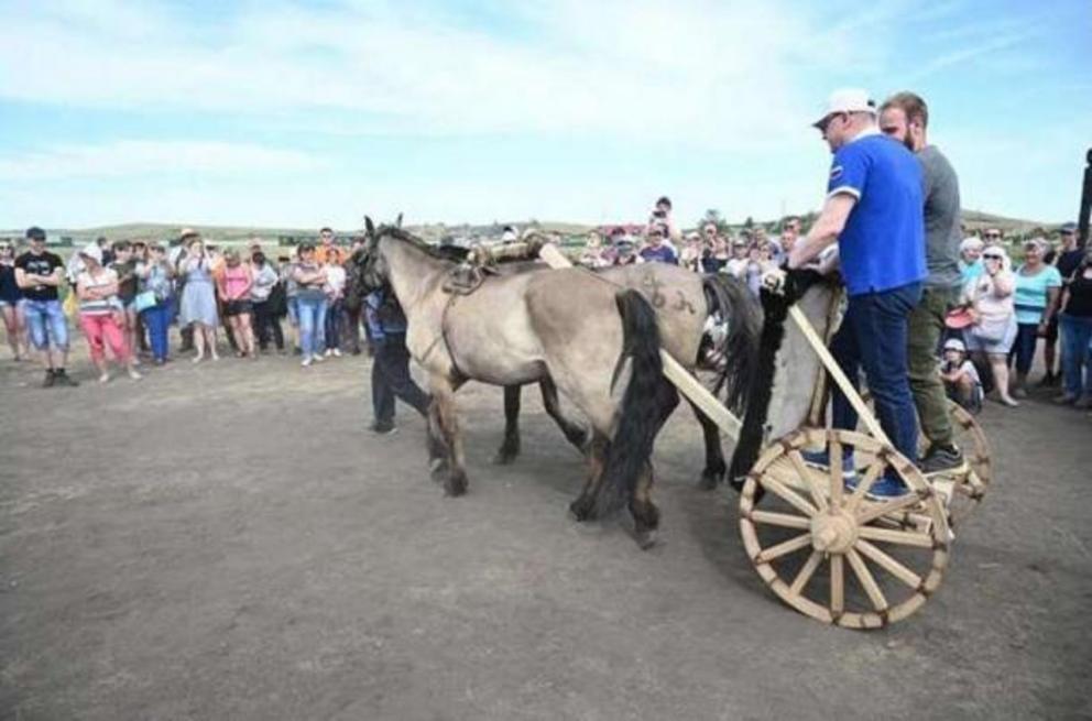 Replica of a chariot created by the Sintashta culture.