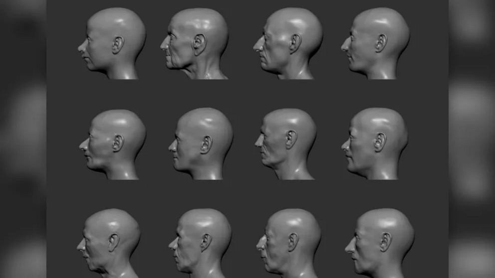 Twelve digitally reconstructed faces in profile from La Almoloya and La Bastida.