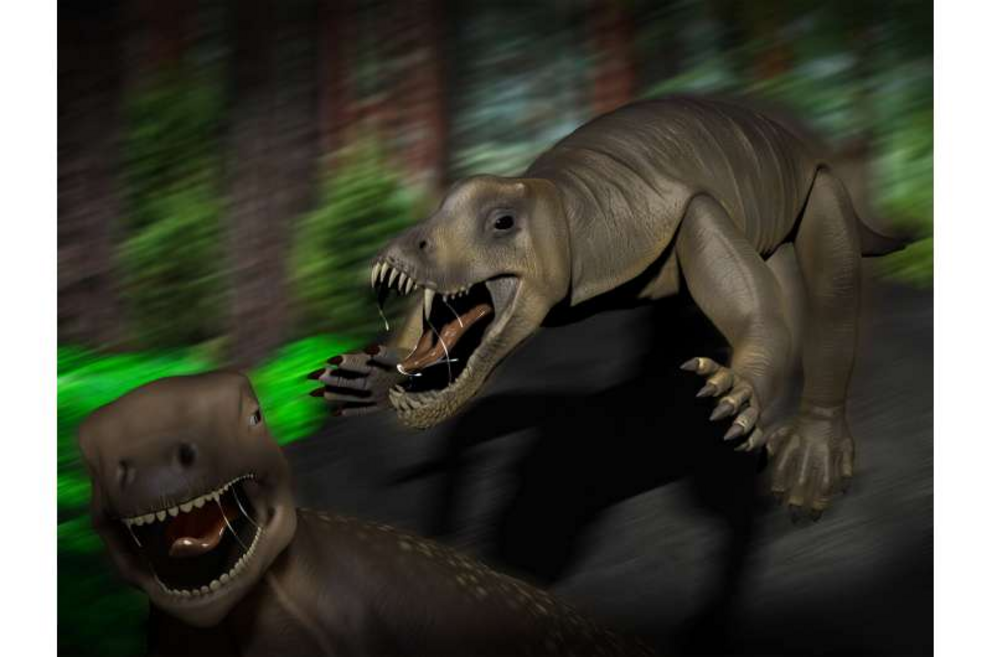 A live reconstruction of Anteosaurus attacking a herbivorous Moschognathus.