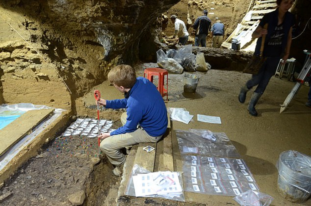 Pictured, excavations at Bacho Kiro Cave. The excavator in the front is recording artifacts (each marked with a colored pin). The bags with barcodes are for individual artifacts once their position has been recorded with a total station