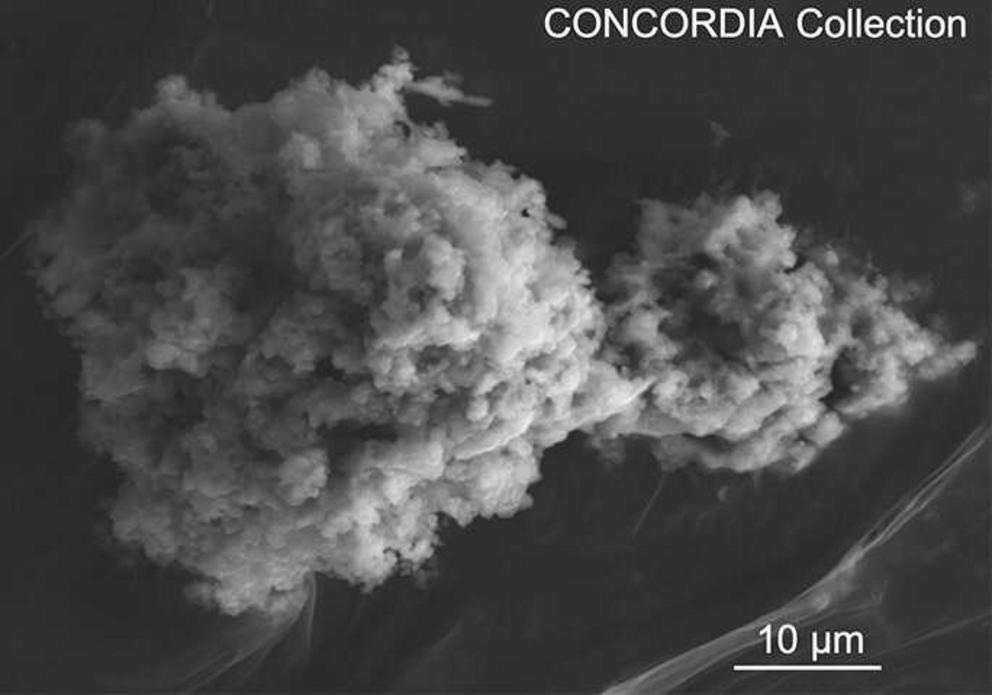Electron micrograph of a Concordia micrometeorite extracted from Antarctic snow at Dome C. Credit: © Cécile Engrand/Jean Duprat
