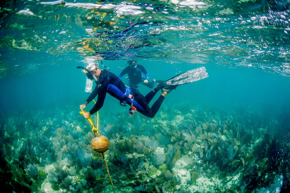 A diver maintains a mooring buoy in the Florida Keys National Marine Sanctuary.