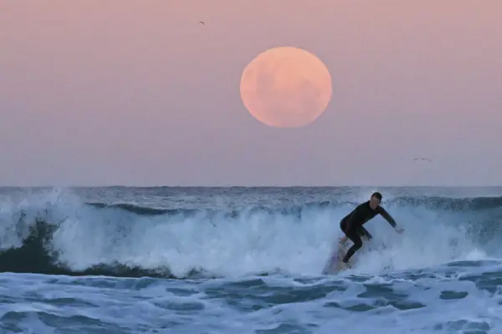 A surfer is seen as the 