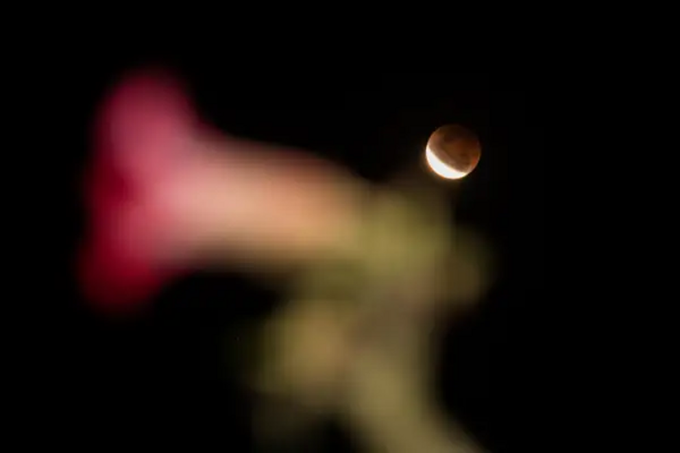 The total lunar eclipse as seen in Sumedang, Indonesia on May 26.