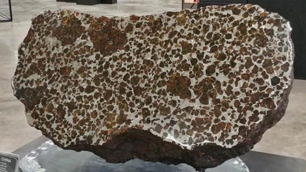 This is the main mass of the Fukang meteorite, on display in the Michael J. Drake building at the University of Arizona in Tucson. Note the large olivine nodules.