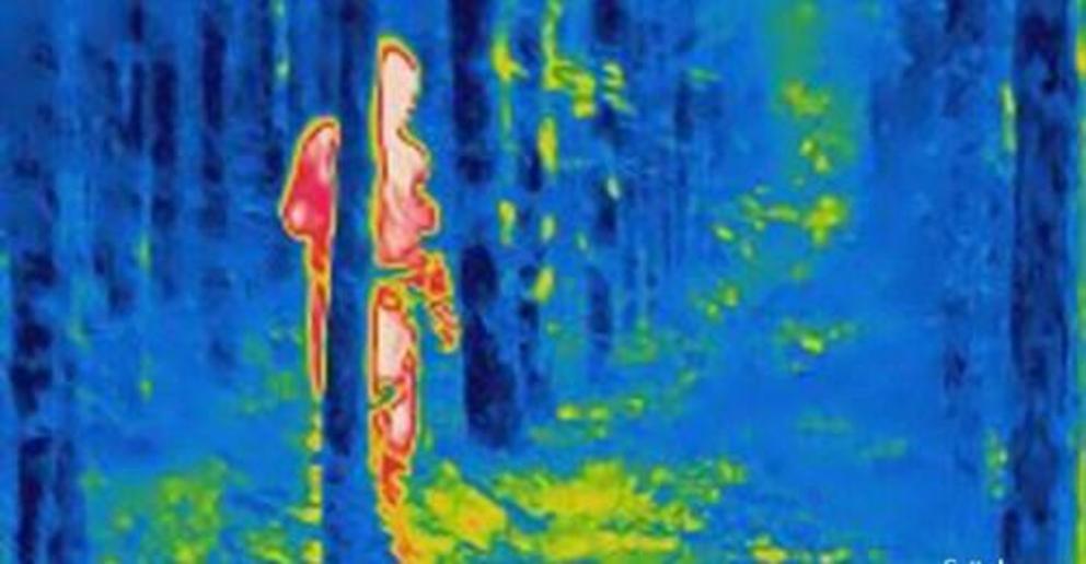 Video: Researchers spot Australia's Bigfoot with thermal imaging camera