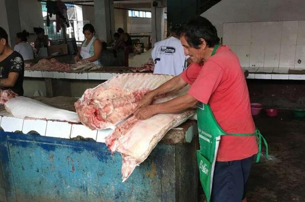 At the Belén Market in Iquitos, a fishmonger takes apart a dorado catfish. A long-distant migrant, the dorado is highly vulnerable to dams and overfishing.