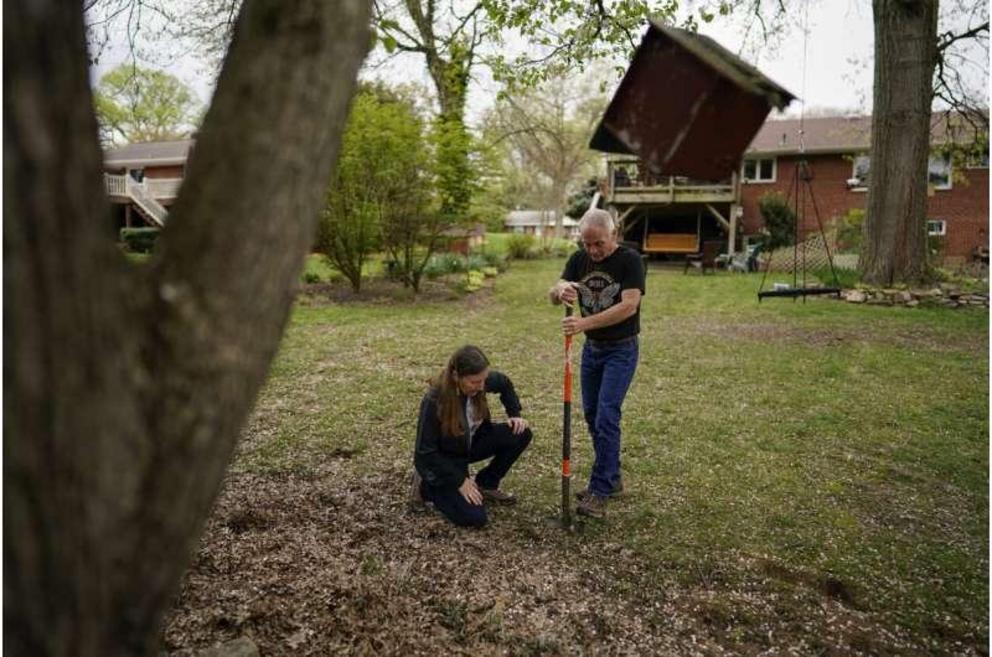 University of Maryland entomologists Michael Raupp and Paula Shrewsbury turn a shovel of dirt to pick out cicada nymphs in a suburban backyard in Columbia, Md., Tuesday, April 13, 2021. The cicadas will mostly come out at dusk to try to avoid everything t