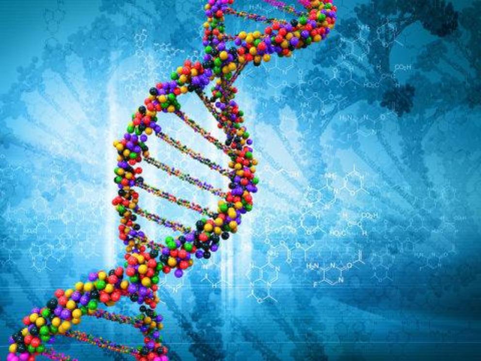 New discovery shows human cells can write RNA sequences into DNA