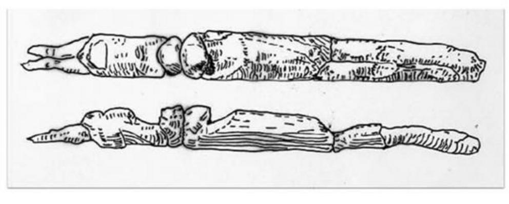 22,000-year-old double headed Androgynous sculpture Gargarion, Ukraine.