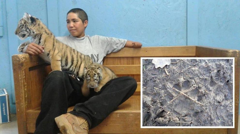 Star of Tiger King says new discovery is “definitely” evidence of big cat in Gloucestershire