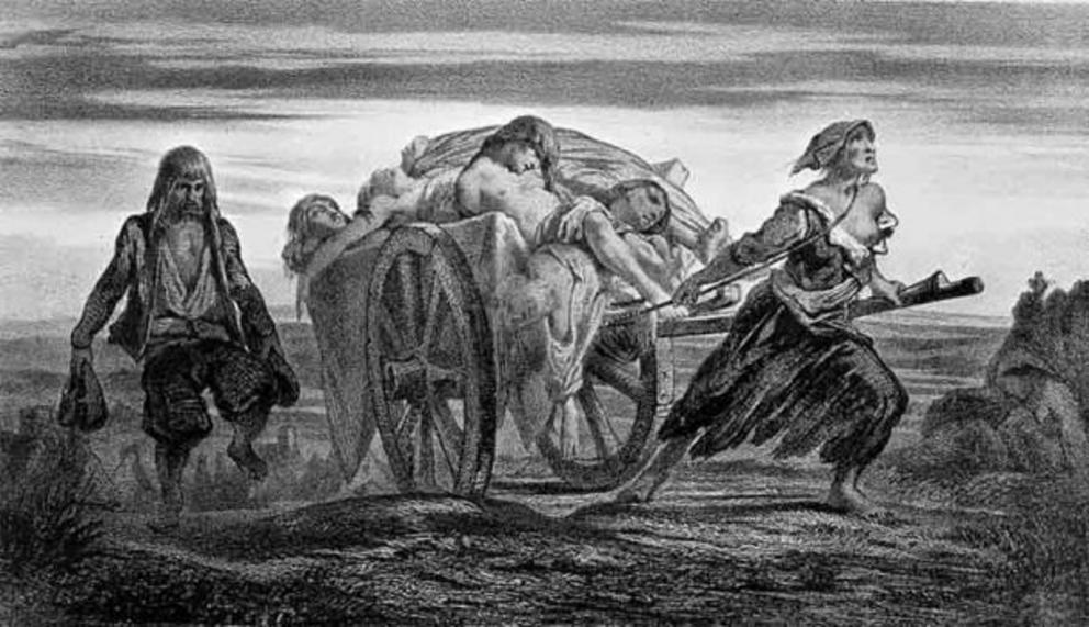 The Black Death devastated the population of Europe