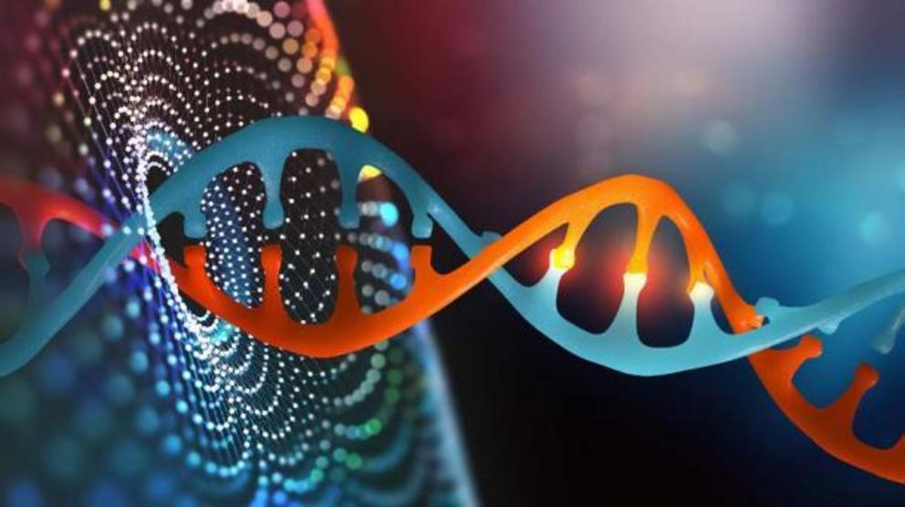 An image of the DNA helix that hints at the powers of AI or deep learning methods in learning more about the evolution of the human genome.