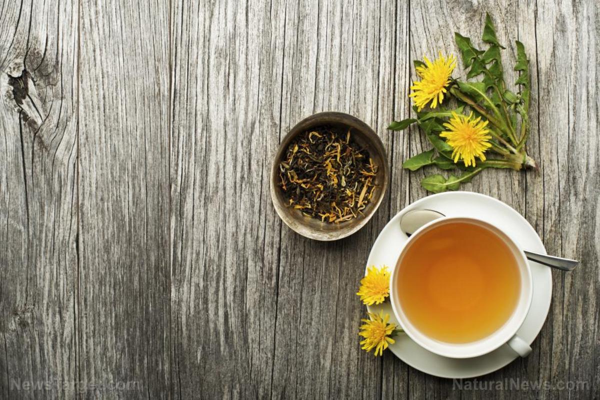 how-to-detox-with-dandelion-root-a-potent-herbal-medicine-nexus-newsfeed