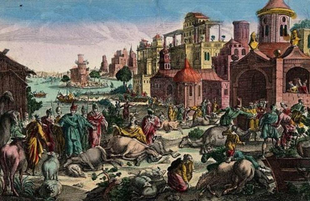 The Biblical ‘Fifth Plague of Egypt’.