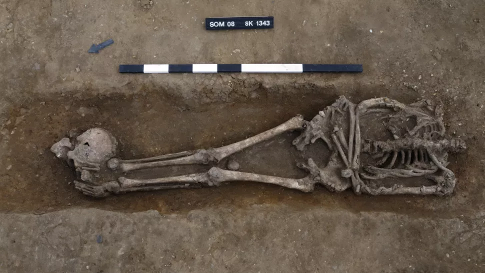Here, another decapitated skeleton found at the Knobb's farm site.