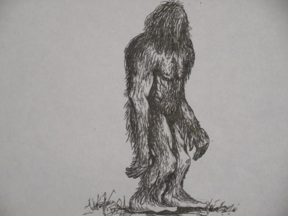 Composite Bigfoot Sketch by Charles Hanna