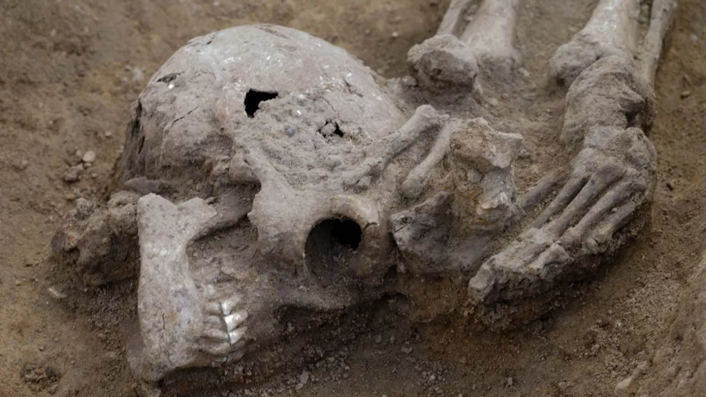 Here, another decapitated skeleton found at the Knobb's farm site. (Image credit: Dave Webb, Cambridge Archaeological Unit)  The skull from this decapitated skeleton was buried at the individual's feet. The skull from this decapitated skeleton was buried 