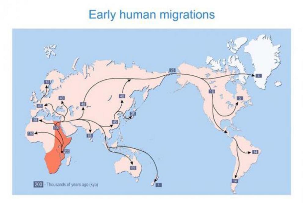 Early human migrations from Africa and onwards across planet Earth, measured in thousands of years ago (kya), included Homo sapiens, Neanderthals and Denisovans. And now we know the modern human genome, as a result of hominin species interbreeding, has a 