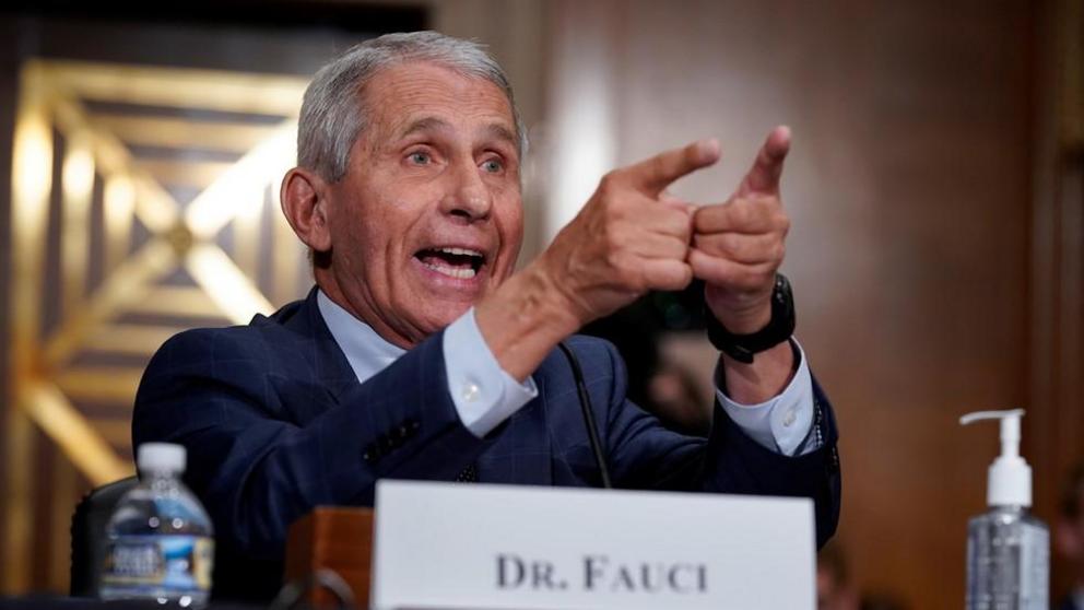 Dr. Anthony Fauci is shown gesturing while giving heated testimony on Tuesday in a Senate hearing in Washington. © Reuters / J. Scott Applewhite