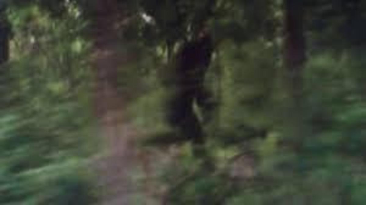 Police officer encounters Bigfoot in west Texas Nexus Newsfeed