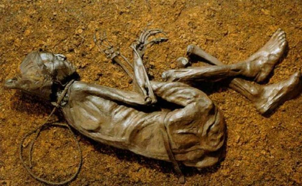 Discovered in 1950, the Tollund Man is now on display at the Silkeborg Museum in Denmark.