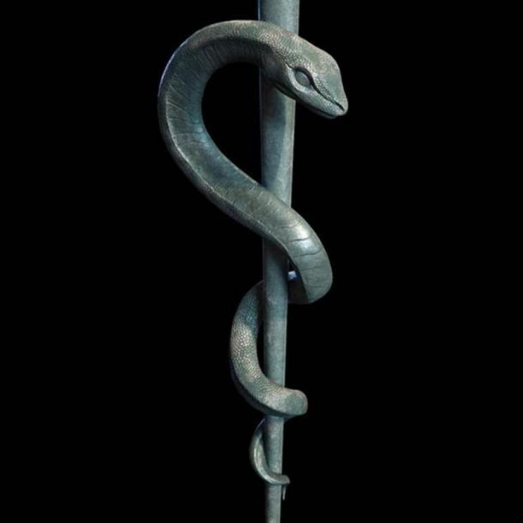 The Rod of Asclepius, a symbol representing medicine and healthcare.